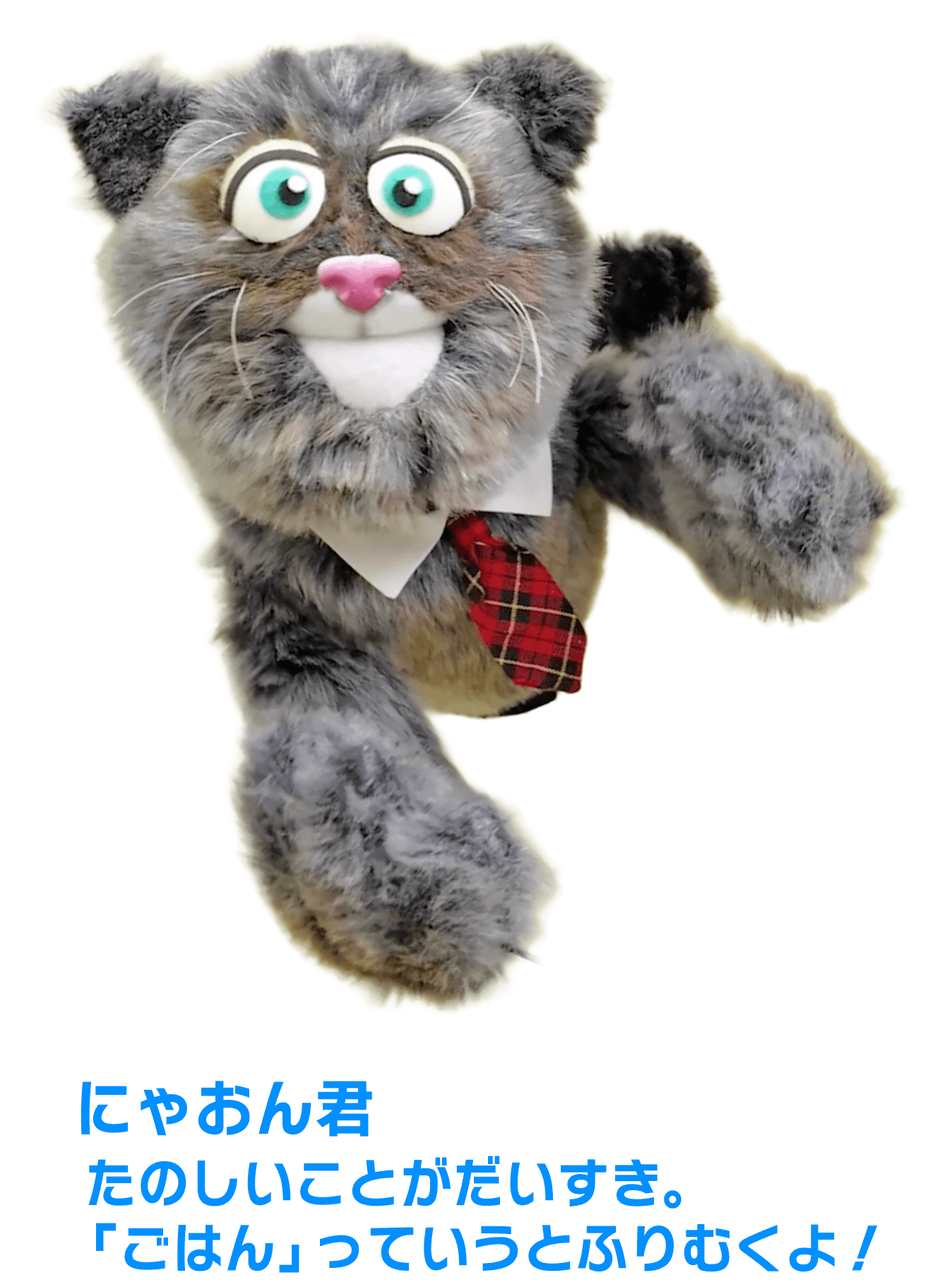 にゃおんくんの写真だよ